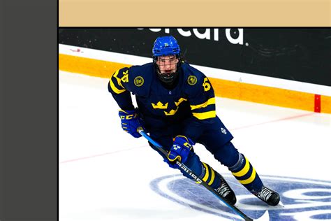nhl playoff tree 2023|Golden Knights rank No. 27 in NHL Pipeline Rankings for 2024.